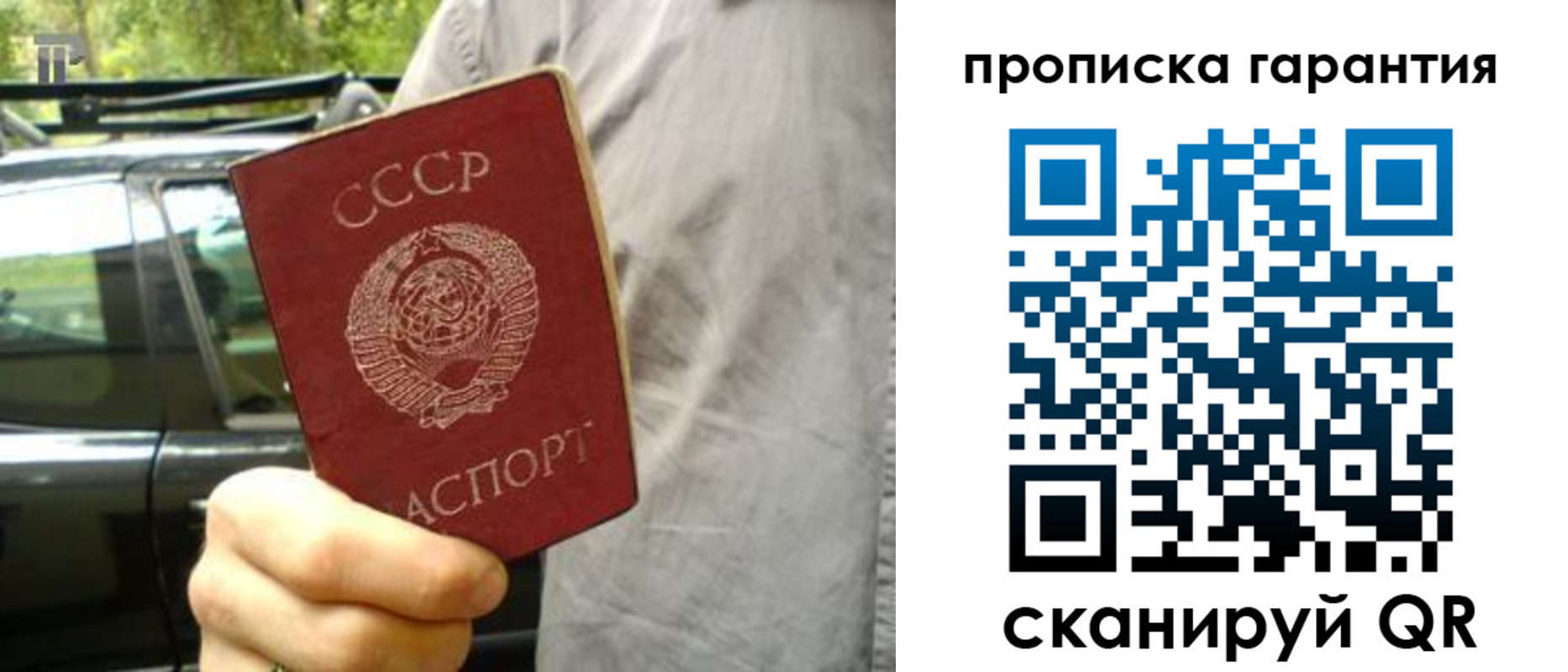 временная регистрация купить в Волосово